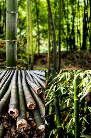 Økologiske klær fra bambus. Kjøp billige online med ADEVE.